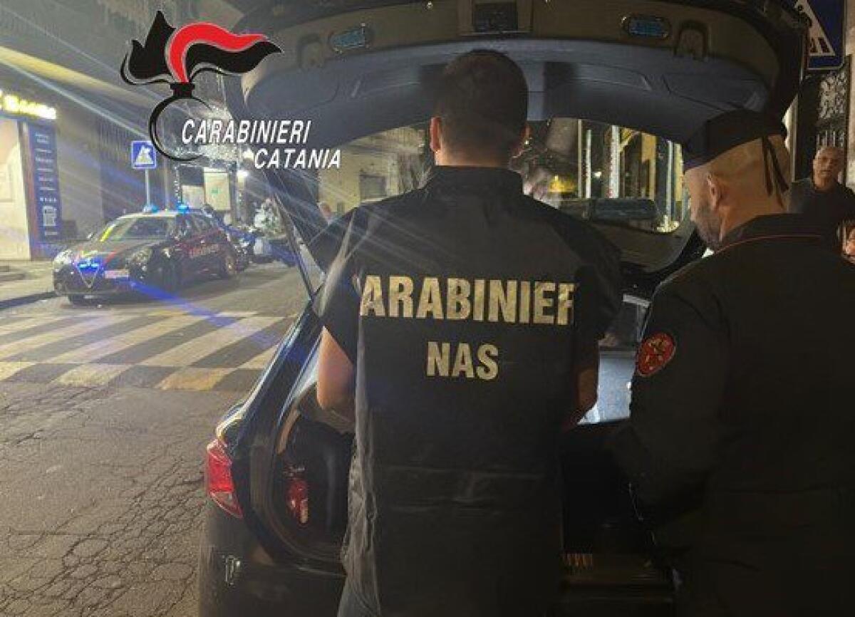 BELPASSO E PATERNÒ: SANZIONI PER UN BAR CON 10 CHILI DI PRODOTTI SENZA ETICHETTATURA E UN ARRESTO IN FLAGRANZA - 