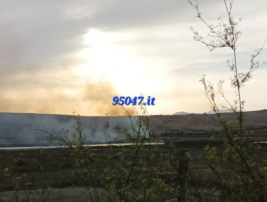 INCENDIO DI STERPAGLIE A PONTE BARCA: INTERVENTO URGENTE DEI VIGILI DEL FUOCO