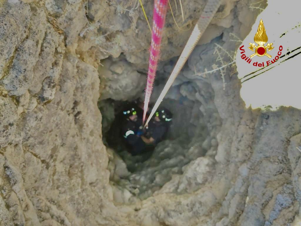 VIGILI DEL FUOCO SALVANO DUE CANI CADUTI DENTRO UN POZZO A MINEO