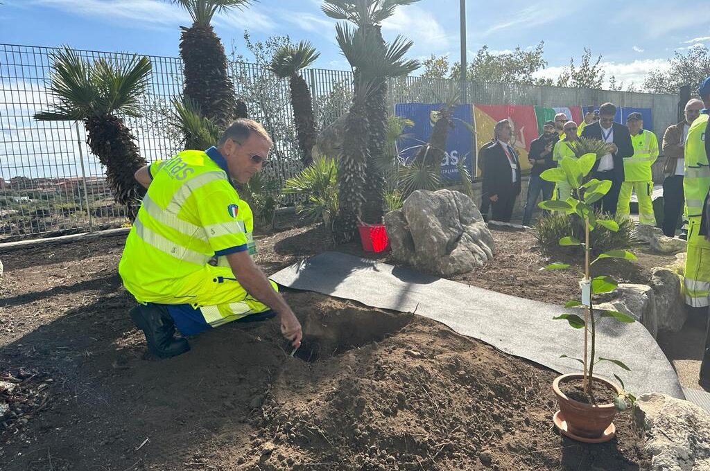 ANAS E CARABINIERI PIANTANO L'ALBERO DUPLICATO DI FALCONE A MISTERBIANCO