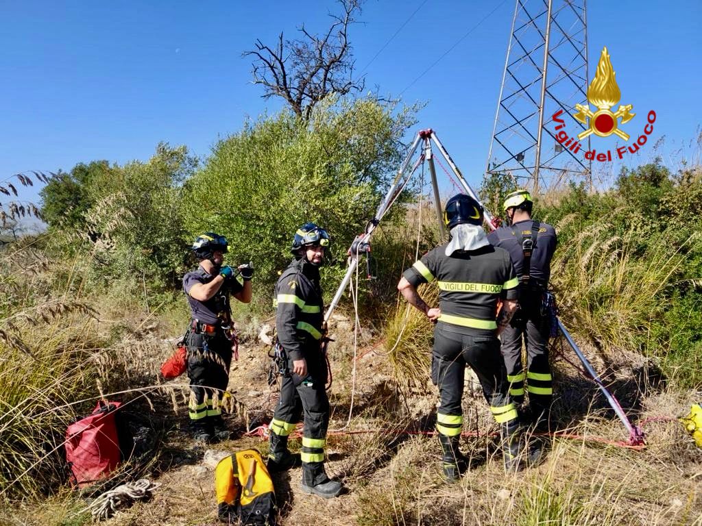 VIGILI DEL FUOCO SALVANO DUE CANI CADUTI DENTRO UN POZZO A MINEO