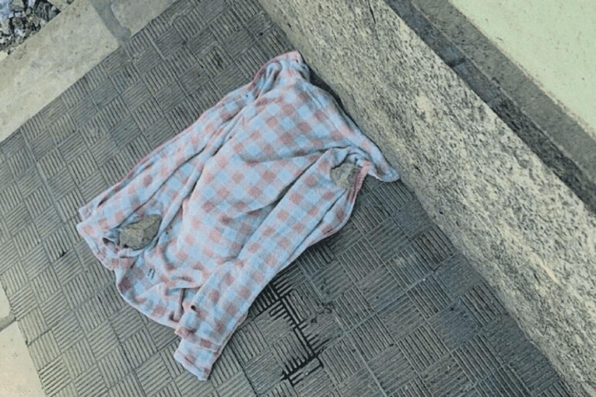 ‘INCAPPUCCIATO FA SBRANARE GATTINI DAL SUO CANE’ LA DENUNCIA DI UN'AVVOCATESSA A VITTORIA - 