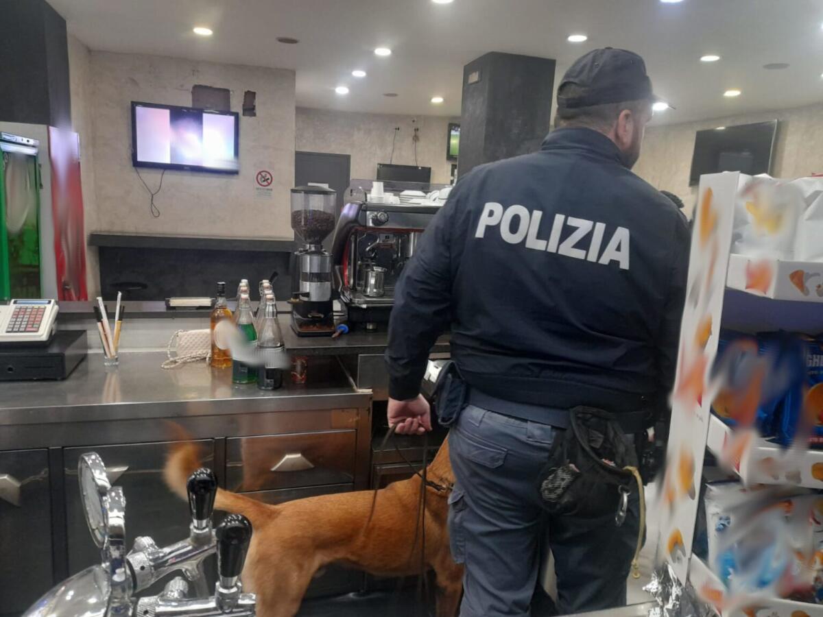 CATANIA. MARIJUANA IN UN CHIOSCO DI VIA PLEBISCITO, DENUNCIATO UN GIOVANE - 