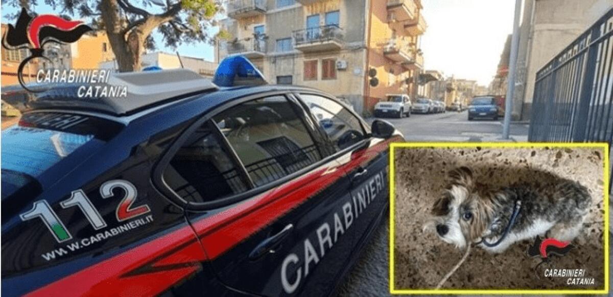 CATANIA. IN CASA COL GAS APERTO,SALVATI CUCCIOLO DI CANE E IL PADRONE - 