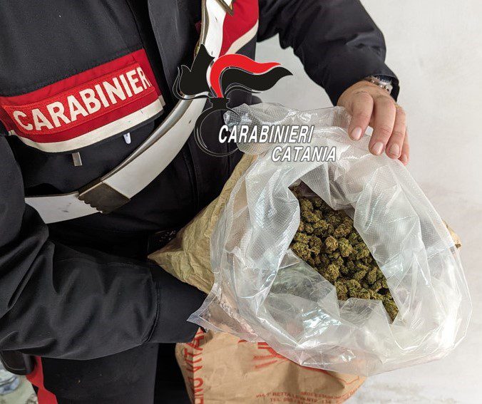 ACI CATENA. PADRE E FIGLIO NASCONDEVANO TRA FARINA E INGREDIENTI PER LE PIZZE MARIJUANA. NEL LOCALE SCOPERTO ANCHE IL FURTO DI ENERGIA ELETTRICA E SOLDI FALSI