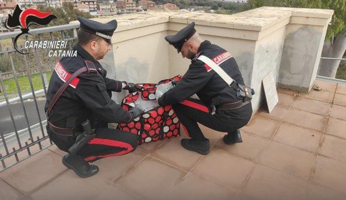 CATANIA. SEI CHILI DI MARIJUANA IN BALCONE, ARRESTATO UN UOMO PER DETENZIONE AI FINI DI SPACCIO DI STUPEFACENTI - 