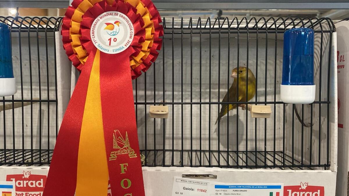 IL PATERNESE ORAZIO FURIA CAMPIONE MONDIALE DI ORNITOLOGIA - 