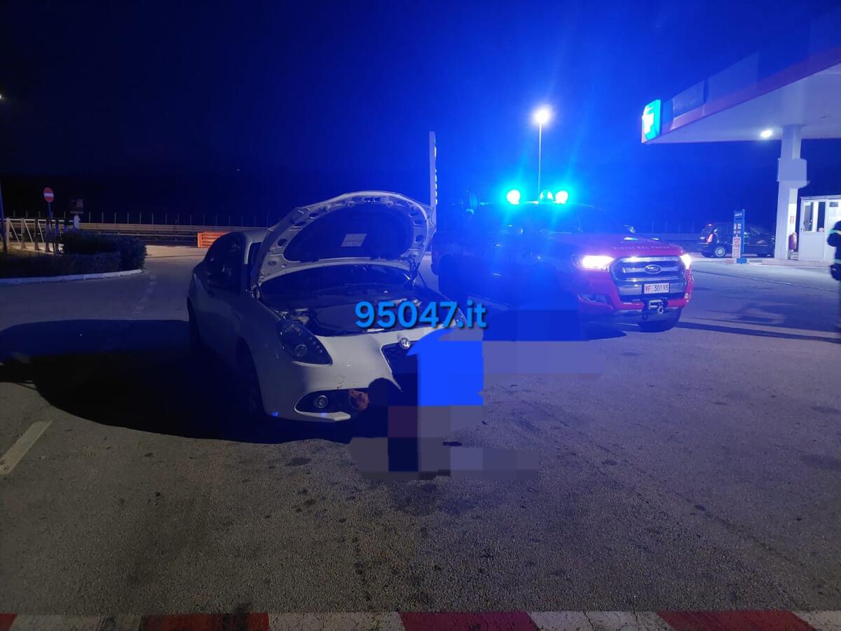 TRAGICO INCIDENTE SULLA SUPERSTRADA 121: CANE INVESTITO E CONDUCENTE ILLESO - 