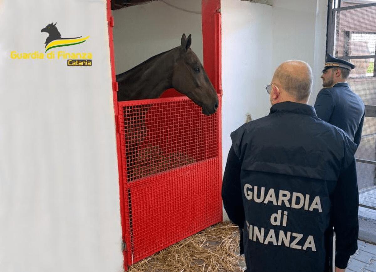 PALAGONIA, CONFISCATI BENI PER OLTRE UN MILIONE E MEZZO A UN IMPRENDITORE DI RIVENDITA DI CARNE - 