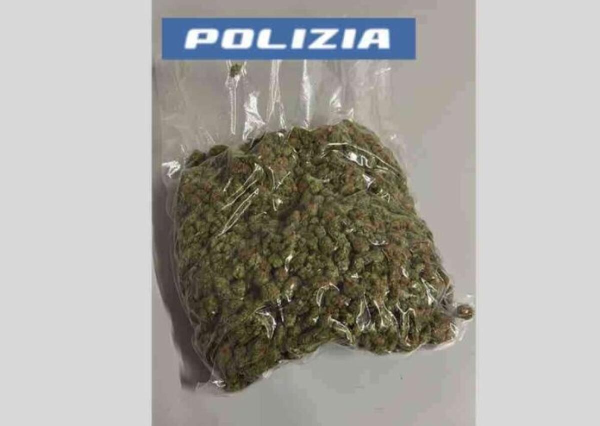ARRESTATI DUE 23ENNI DI PATERNÒ A CATANIA CON QUASI 2 CHILI DI MARIJUANA - 