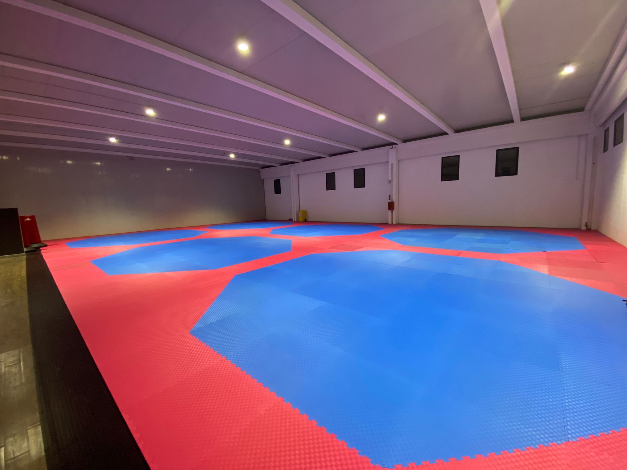 SINERGIA OLIMPICA IN STAGE: TAEKWONDO MARLETTA E L'OLIMPIONICO LEONARDO BASILE APRONO IL 2024 SPORTIVO A PATERNÓ