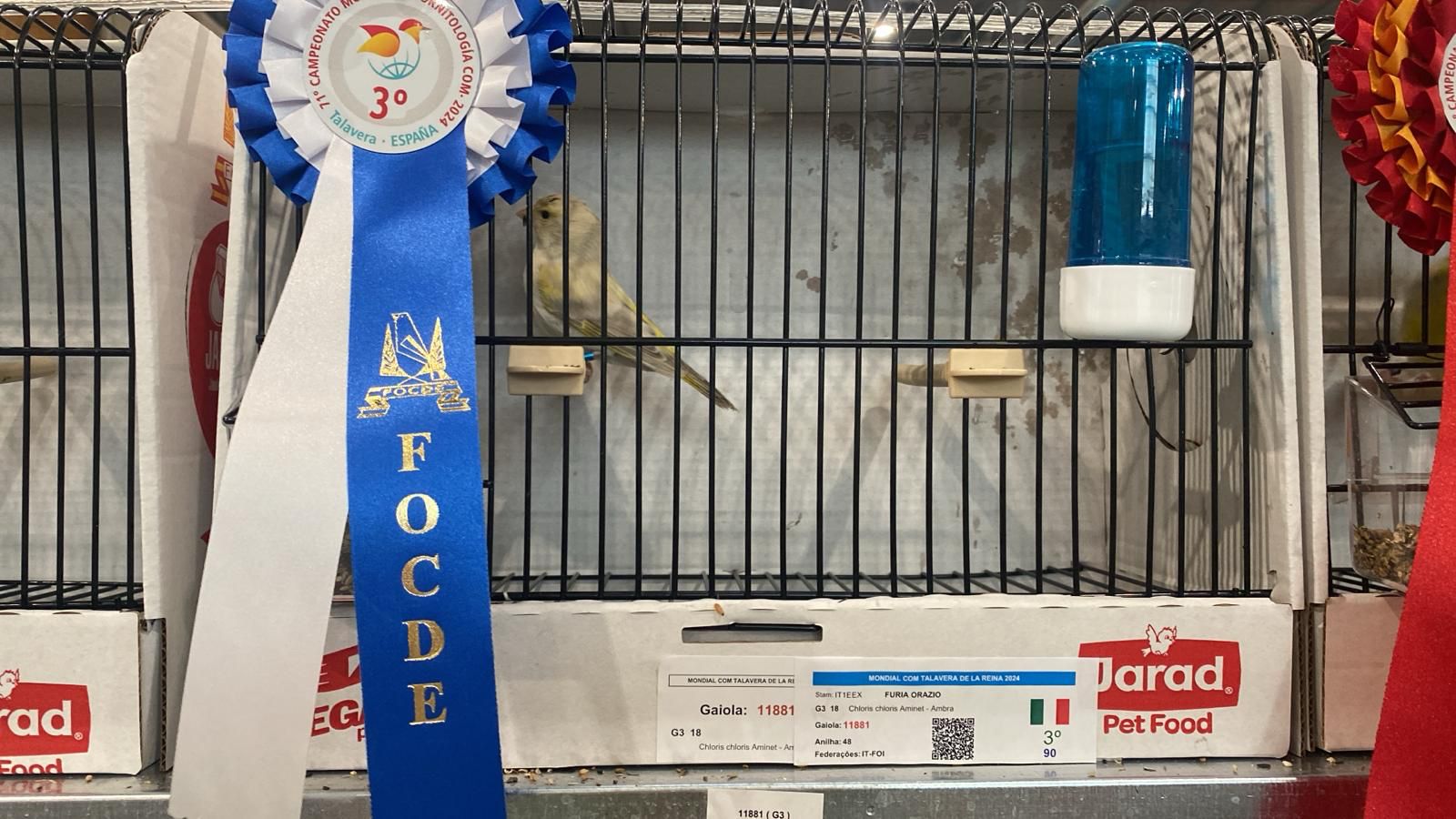 IL PATERNESE ORAZIO FURIA CAMPIONE MONDIALE DI ORNITOLOGIA