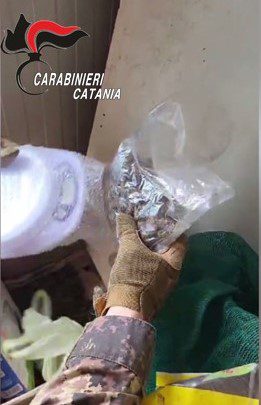 BELPASSO. COLTIVAVA MARIJUANA NEL RUDERE IN CAMPAGNA: ARRESTATO DAI CARABINIERI