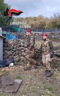 BELPASSO. COLTIVAVA MARIJUANA NEL RUDERE IN CAMPAGNA: ARRESTATO DAI CARABINIERI