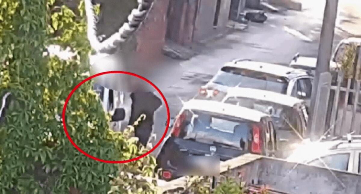 OPERAZIONE “NON SOLO PANE”: 9 ARRESTI PER SPACCIO E DETENZIONE AI FINI DI SPACCIO DI COCAINA I NOMI - 