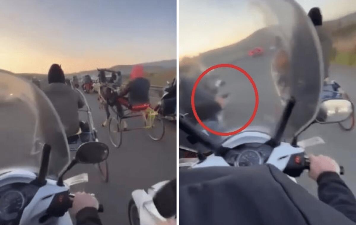 CATANIA. CORSA DI CAVALLI IN STRADA E COLPI DI PISTOLA IN ARIA, INDAGA LA POLIZIA - 