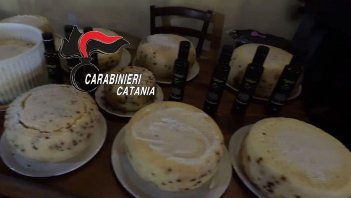 MEZZA TONNELLATA DI CARNE IN CATTIVO STATO DI CONSERVAZIONE E SALUMI ROSICCHIATI DAI TOPI IN UN RISTORANTE DI LINGUAGLOSSA: SOSPESA L'ATTIVITÀ - 