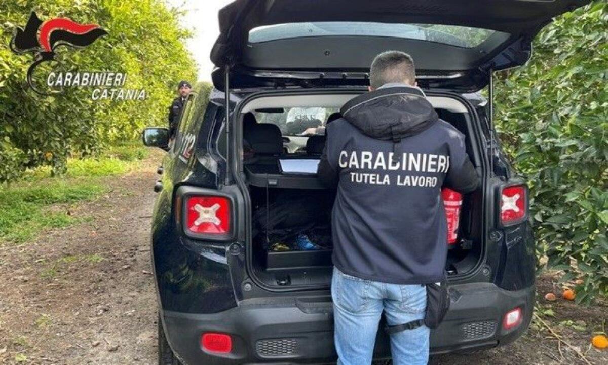 PATERNO'. OSPITA TUNISINI IRREGOLARI PER LAVORARE NEI CAMPI E RUBA L’ENERGIA ELETTRICA, DENUNCIATO - 