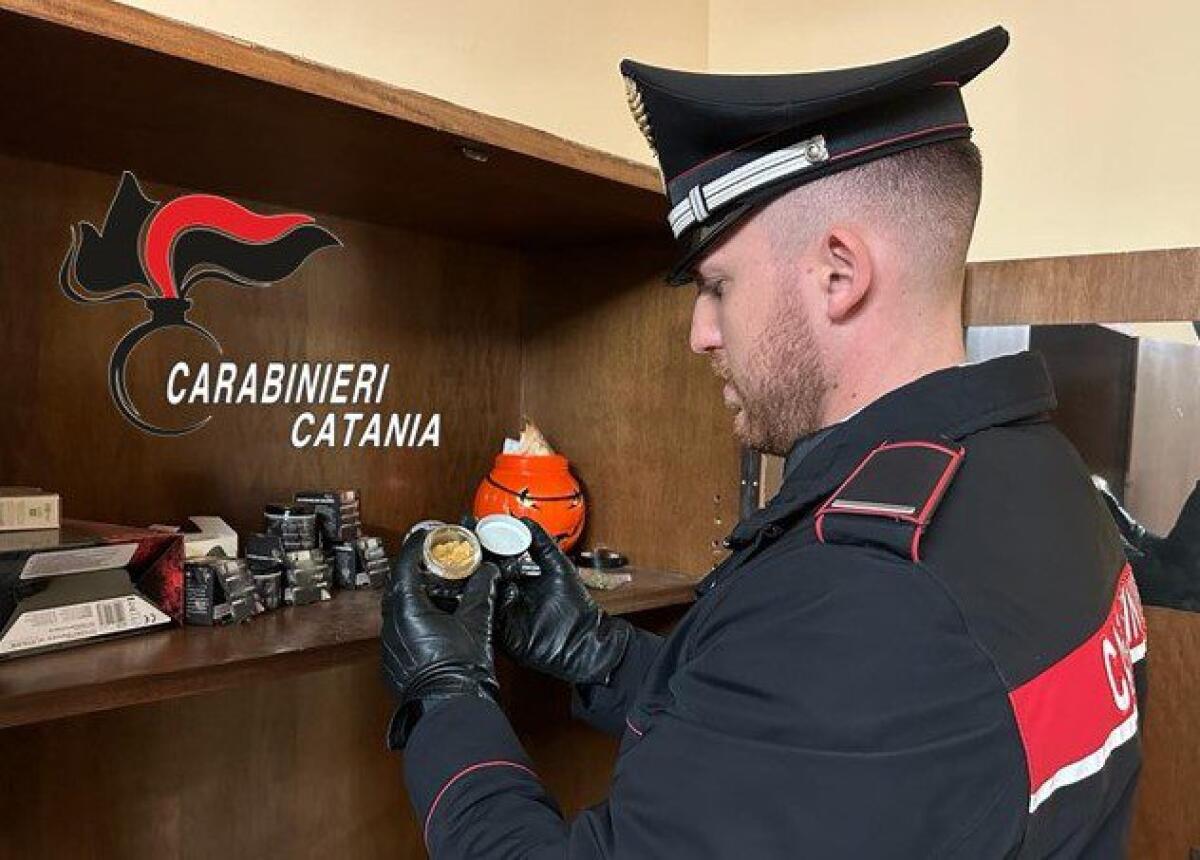 A CATANIA IL PRIMO SEQUESTRO DI MARIJUANA WAX: CINQUE VOLTE PIÙ POTENTE DELLA TRADIZIONALE - 