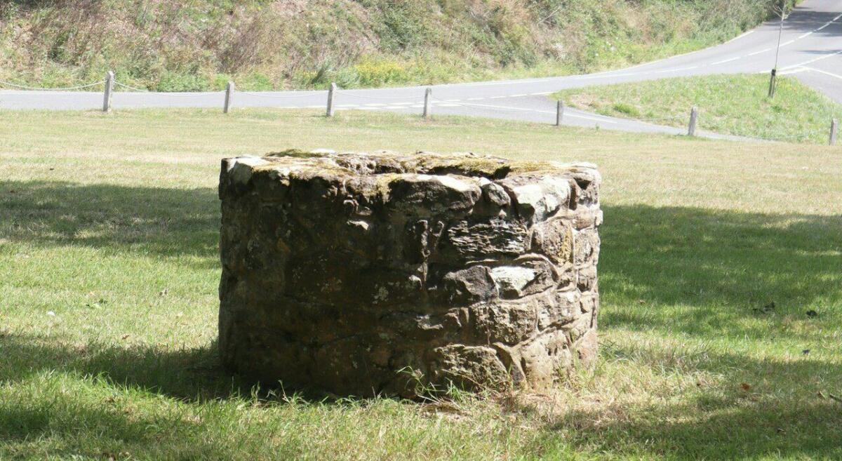 NISCEMI, TENTA DI RECUPERARE IL CANE CADUTO IN UN POZZO E MUORE - 