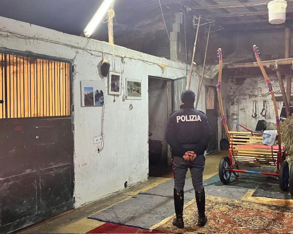 CATANIA. RINCHIUDE UN CAVALLO IN UN BOX ANGUSTO E BUIO, 51ENNE DENUNCIATO DALLA POLIZIA DI STATO - 