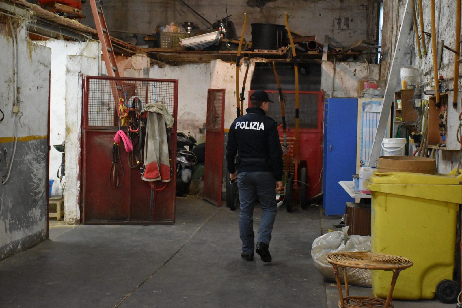 POLIZIA SEQUESTRA CINQUE CAVALLI E FARMACI DOPANTI A CATANIA