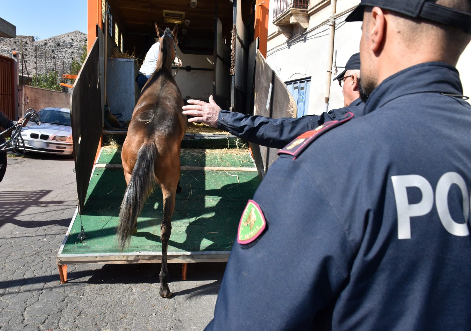 POLIZIA SEQUESTRA CINQUE CAVALLI E FARMACI DOPANTI A CATANIA