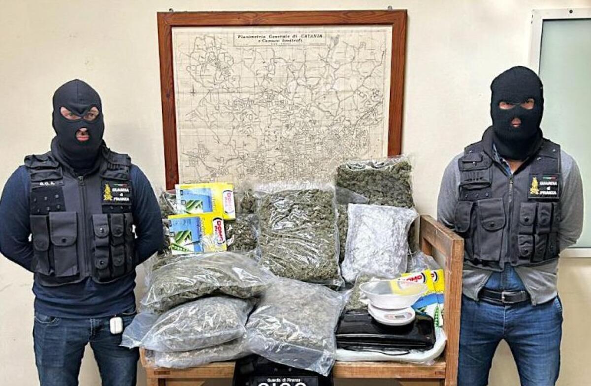 CATANIA. VENTI CHILI DI SHUNK IN CASA, ARRESTATI PADRE E FIGLIO - 