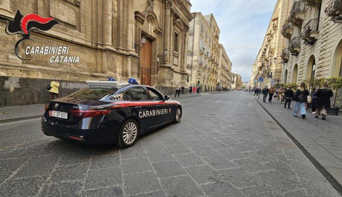 SCOPERTA PRODUZIONE ABUSIVA DI FORMAGGI A CATANIA ED A GIARRE UN PANIFICIO CON UN GATTO TRA LA PASTA DA INFORNARE - 