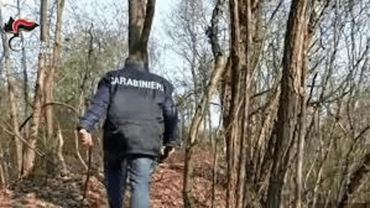 NOVARA. UCCIDE LA MADRE E LA NASCONDE NEL BOSCO PER LA RISCUOTERE LA PENSIONE - 