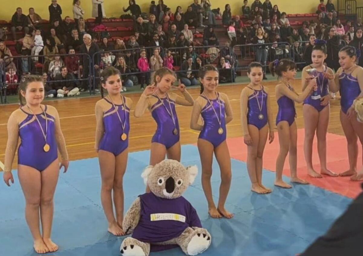 OTTIMI RISULTATI PER LE PICCOLE GINNASTE DI URBAN BOX DI PATERNO’ NELLA GARA "COPPA PRIMAVERA ASC" - 