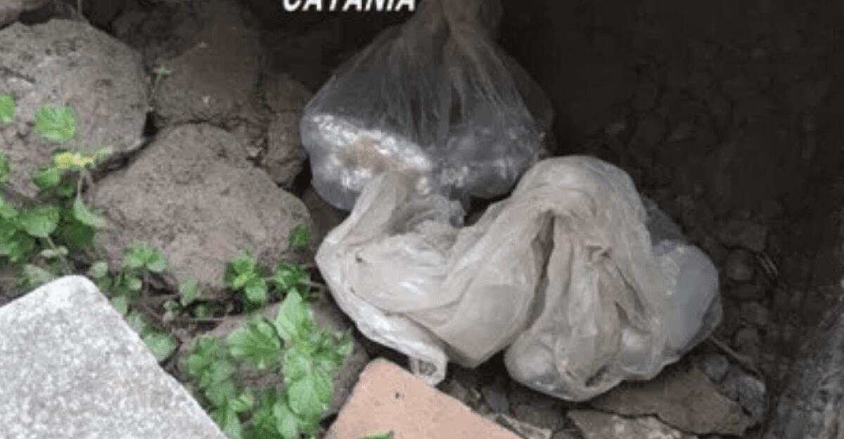 BIANCAVILLA. PUSHER RECIDIVO ARRESTATO DOPO LUNGO APPOSTAMENTO DEI CARABINIERI - 