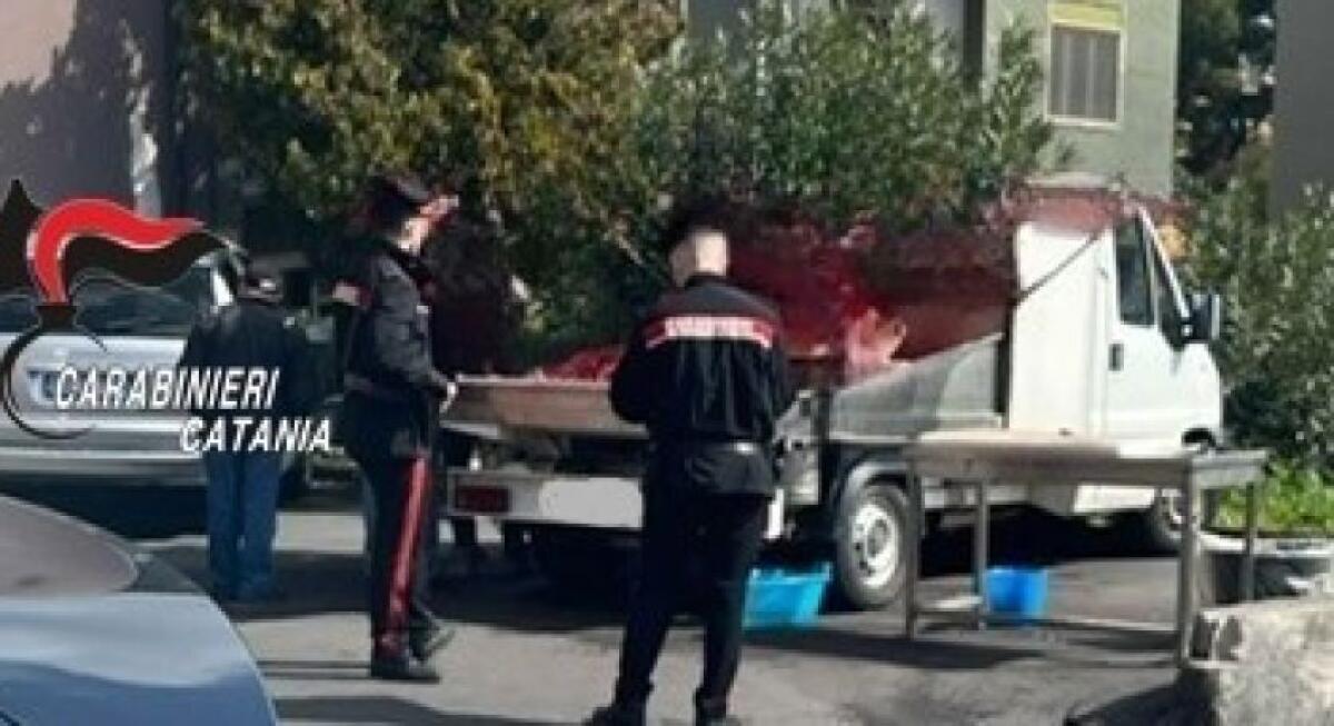 MASCALUCIA : CONTROLLI PESCIVENDOLI AMBULANTI, SANZIONATI VENDITORI NON A NORMA - 