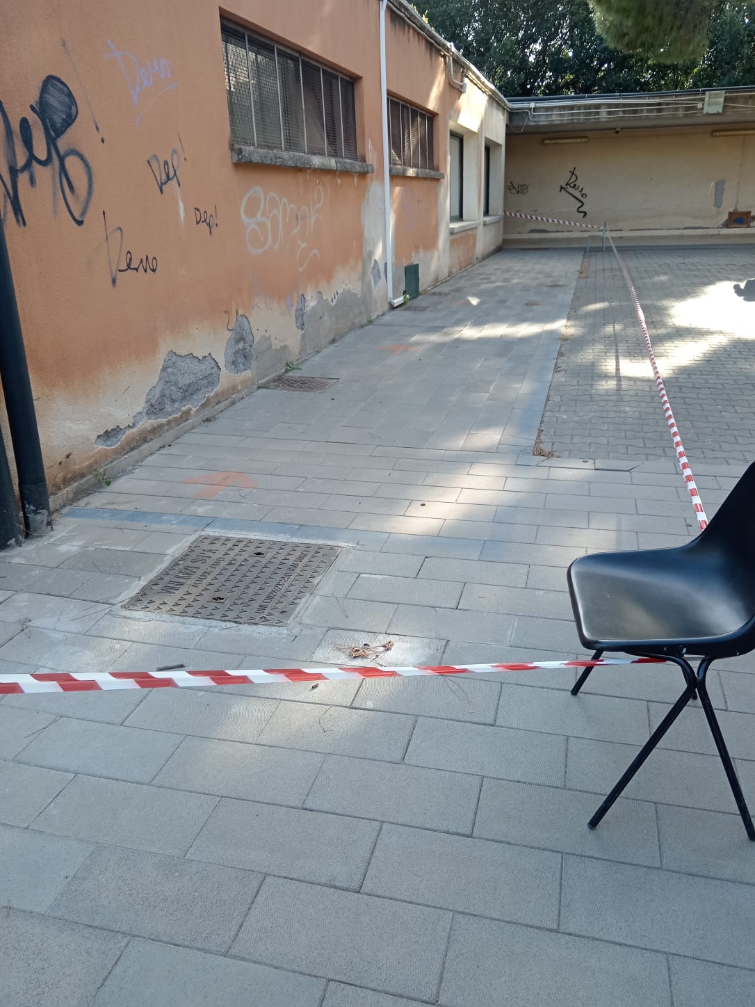 PATERNO': LA SEGNALAZIONE DEI GENITORI, PROCESSIONARIE NEL GIARDINO DELLA SCUOLA