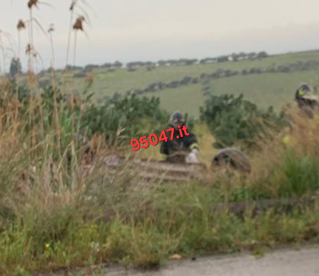 INCIDENTE SULLA SP135: AUTO SI RIBALTA TRA PATERNÒ E BELPASSO, FINENDO NELLA VEGETAZIONE. FERITO IL CONDUCENTE