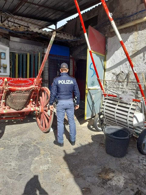 CONTROLLI DELLA POLIZIA DI STATO NEL QUARTIERE “SAN CRISTOFORO”, SCOPERTE ALTRE STALLE ABUSIVE