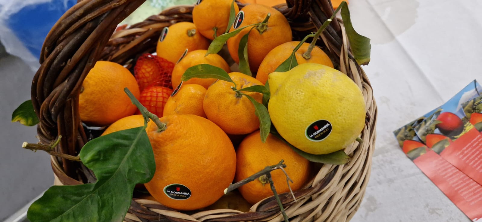 UNIONE CULTURALE TRA SICILIA E TRENTINO ALTO ADIGE: UN'INIZIATIVA DI SCAMBIO ALLA DON MILANI DI PATERNÒ