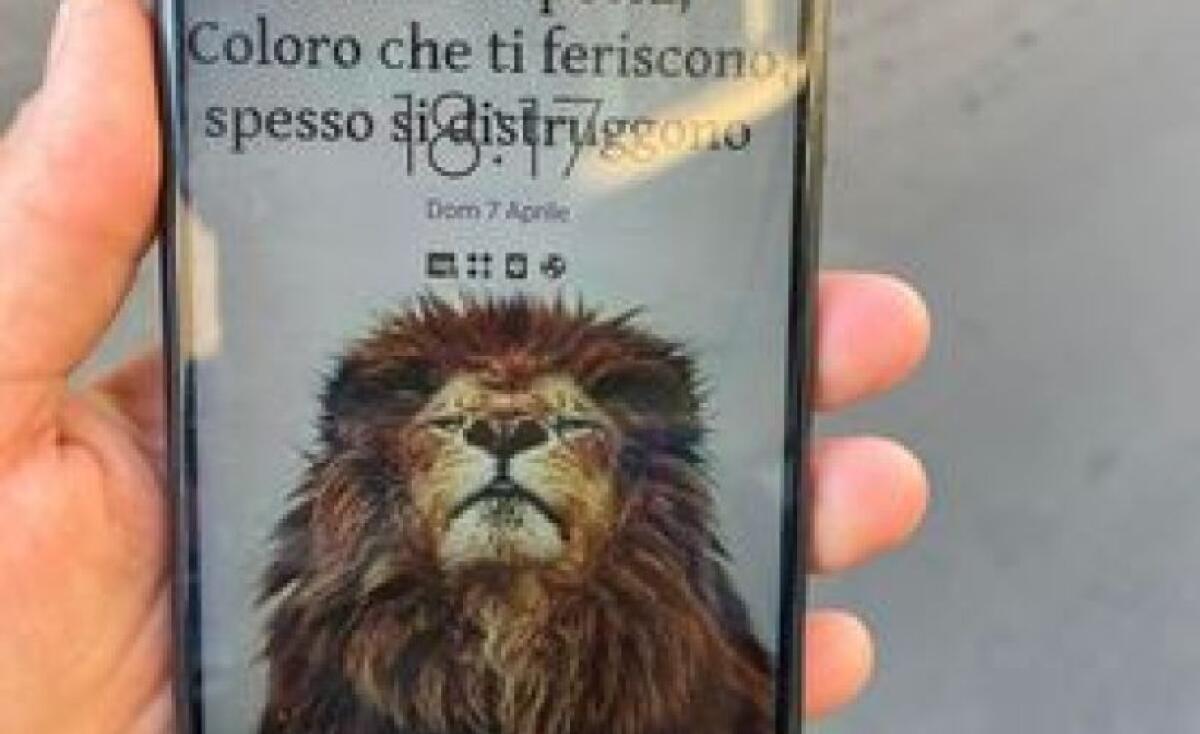 RITROVATO TELEFONO ALLA  VILLA DI PATERNÒ - 