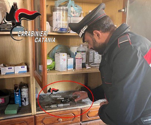 CATANIA, I CARABINIERI SCOPRONO UNA STALLA ILLEGALE A PICANELLO: TROVATI ANCHE FARMACI PER USO VETERINARIO