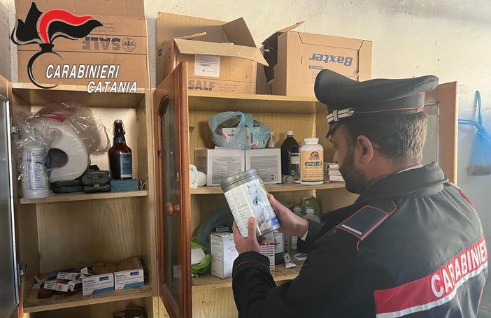 CATANIA, I CARABINIERI SCOPRONO UNA STALLA ILLEGALE A PICANELLO: TROVATI ANCHE FARMACI PER USO VETERINARIO