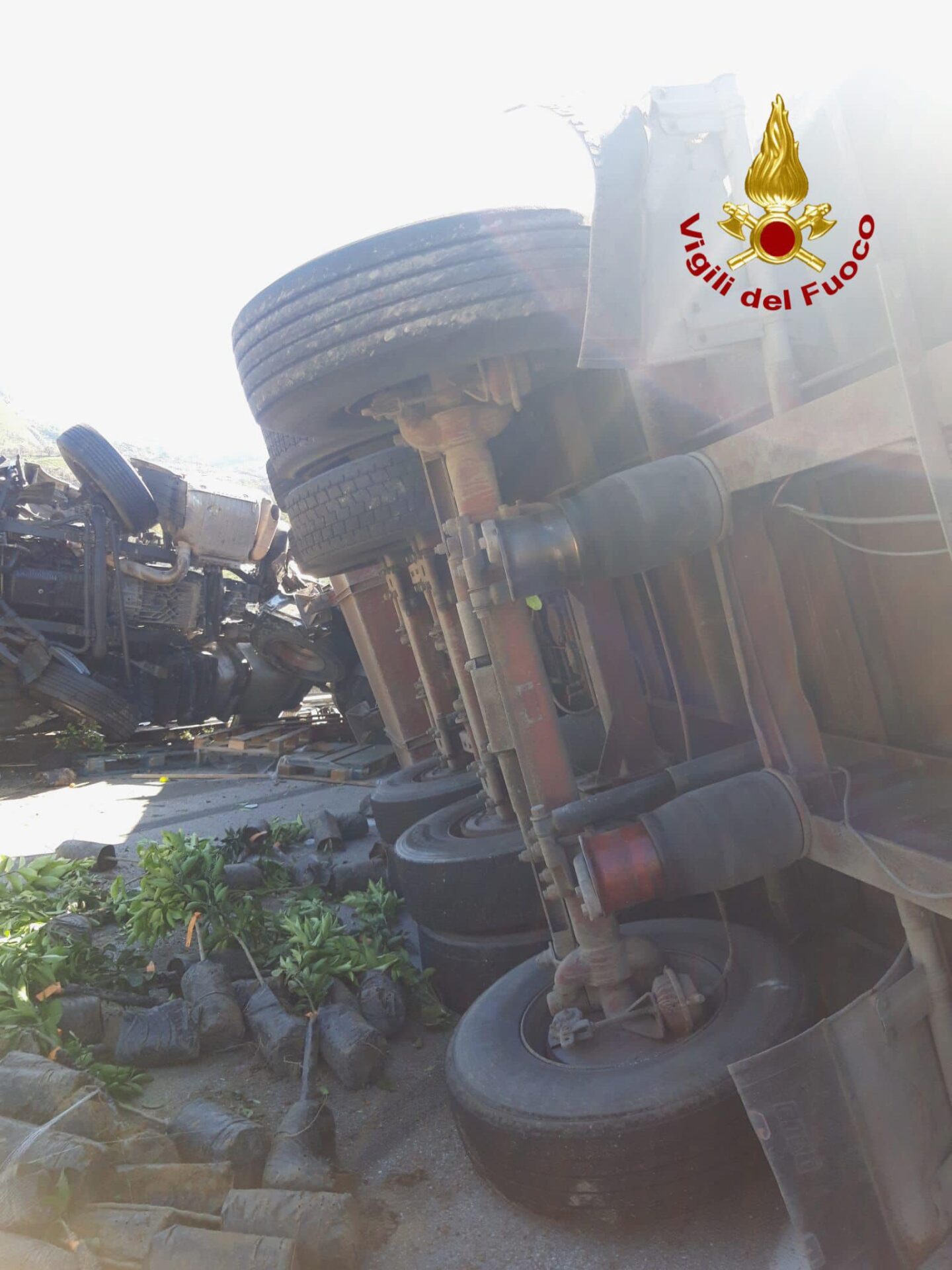GRAVE INCIDENTE SULLA A20 MESSINA-PALERMO: UN TIR CHE TRASPORTAVA PIANTE SI È RIBALTATO, MORTO IL CONDUCENTE