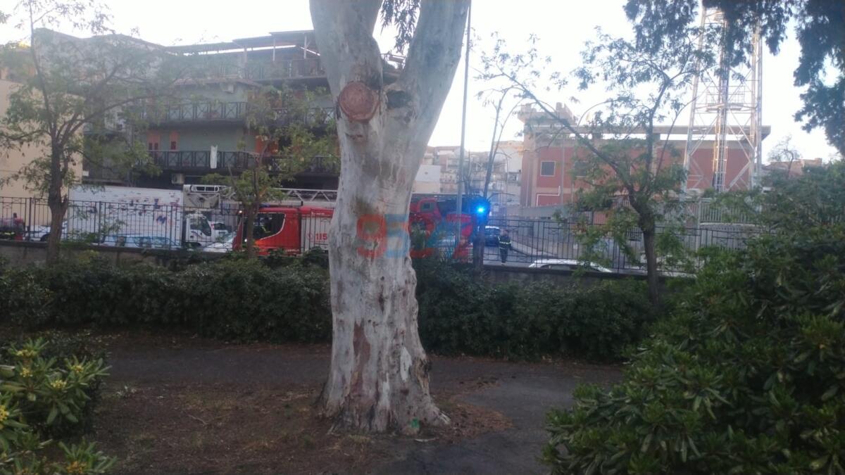 PATERNÒ.  GROSSI RAMI PERICOLANTI, I VIGILI DEL FUOCO ALLA VILLA MONCADA - 