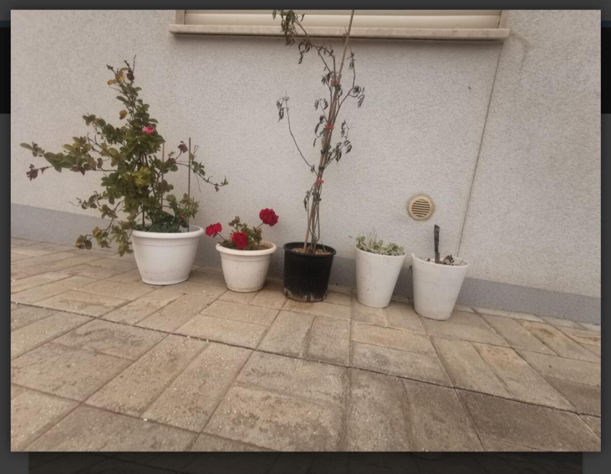 RUBAVA VASI, PIANTE E FIORI DA UNA TOMBA DEL CIMITERO DI AVOLA, DENUNCIATA 63ENNE - 