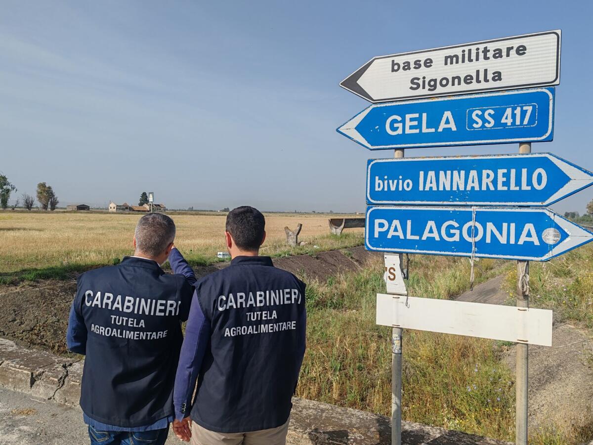 FINTI TERRENI AGRICOLI A SIGONELLA, SEQUESTRATI 441MILA EURO DA CC TUTELA AGROALIMENTARE DI MESSINA - 