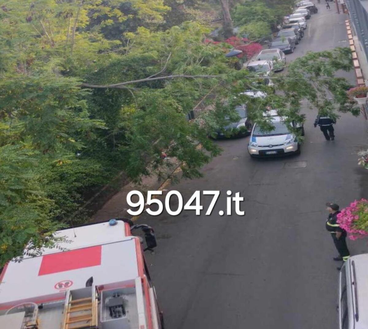 PATERNO' – RAMO PERICOLANTE IN VIA LIBERTA. INTERVENUTI I VVF E POLIZIA MUNICIPALE - 