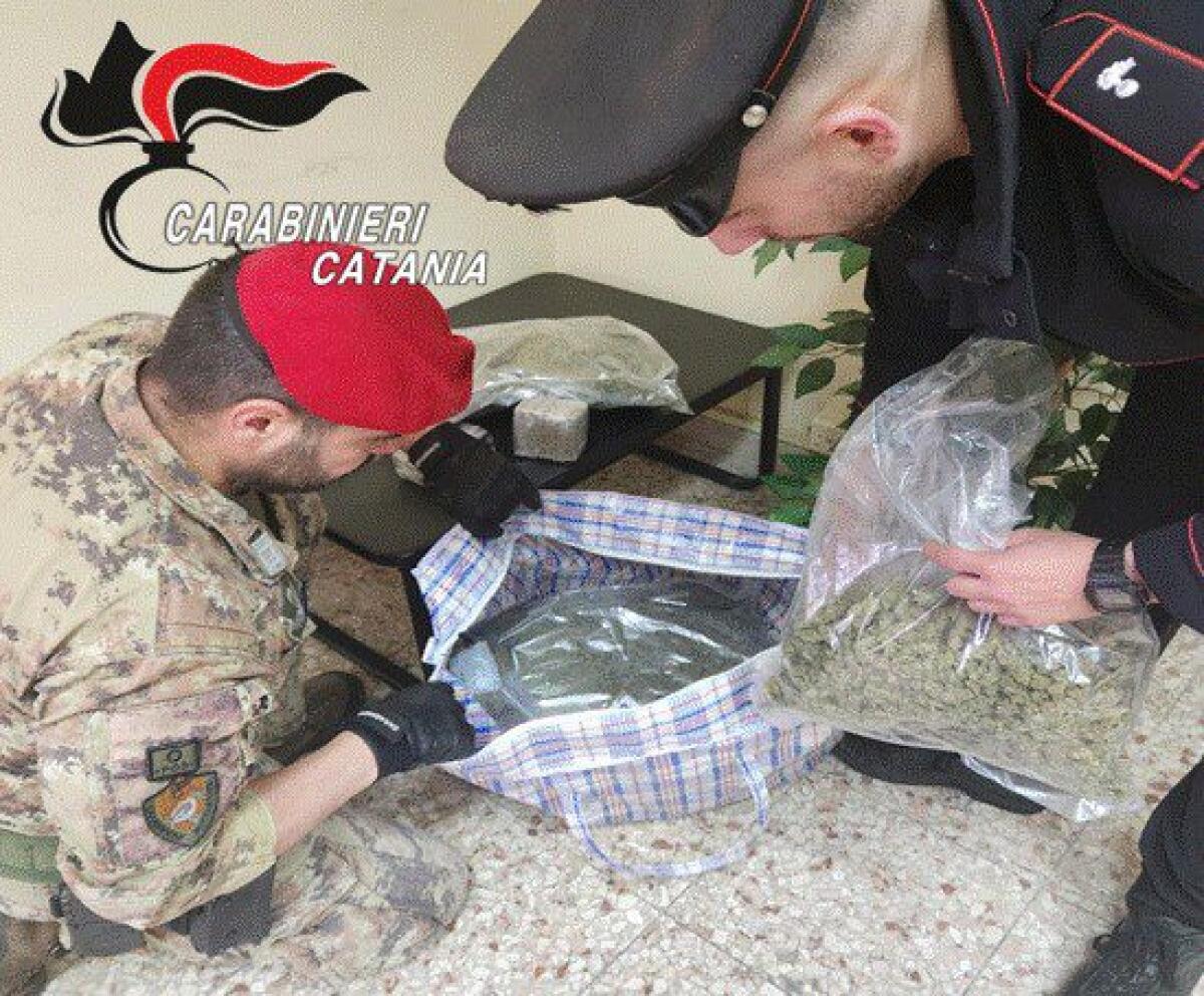 GIARRE, AI DOMICILIARI CON 7 KG DI DROGA E LA PISCINA ABUSIVA: ARRESTATO - 