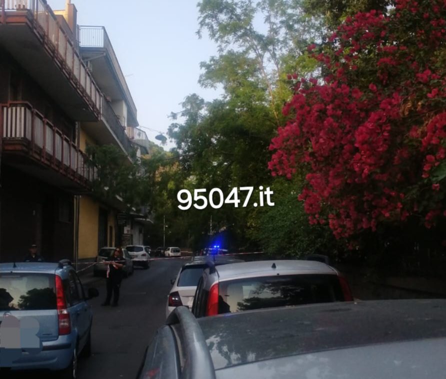 PATERNO' – RAMO PERICOLANTE IN VIA LIBERTA. INTERVENUTI I VVF E POLIZIA MUNICIPALE