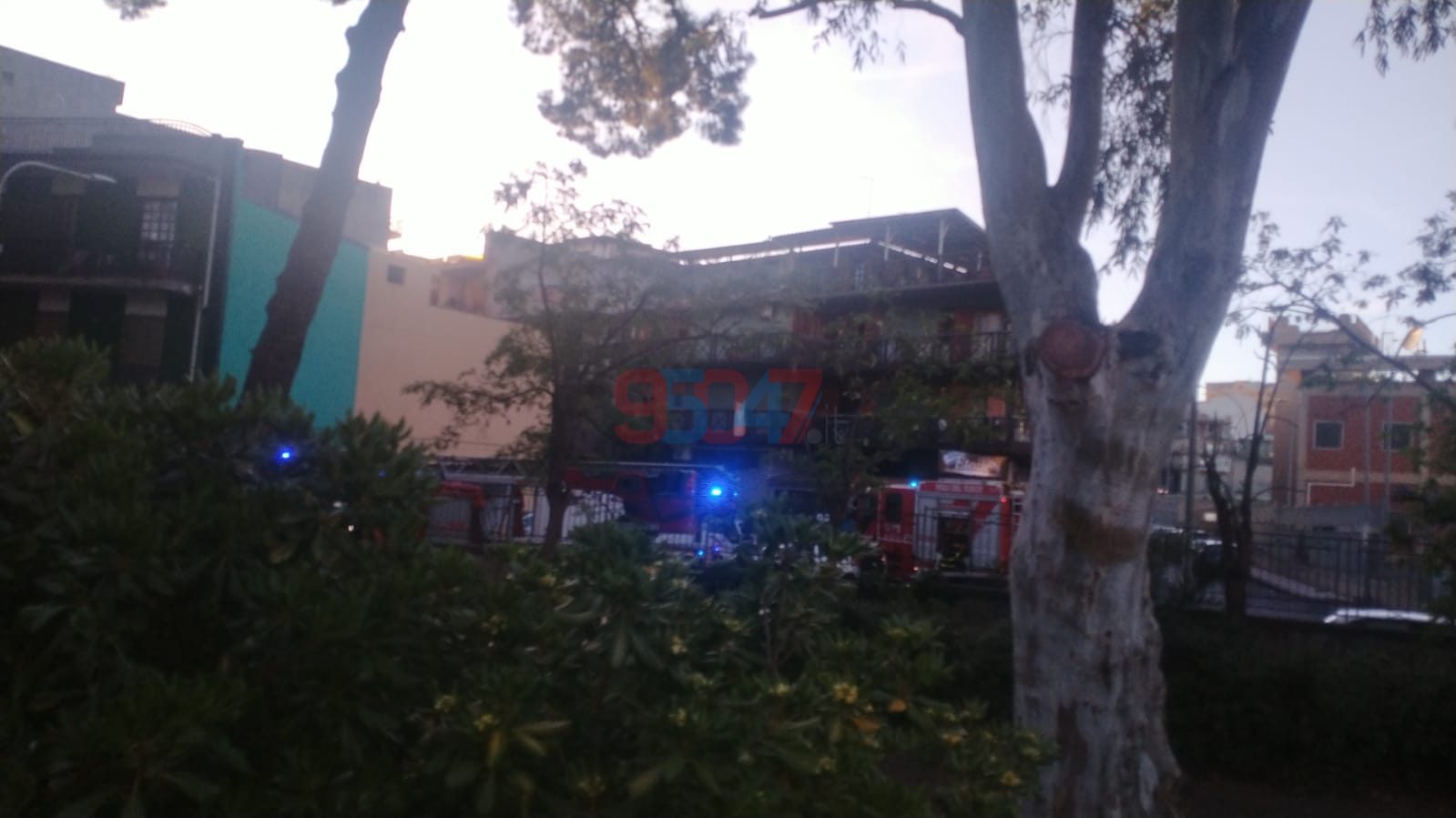 PATERNÒ.  GROSSI RAMI PERICOLANTI, I VIGILI DEL FUOCO ALLA VILLA MONCADA