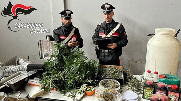 CATANIA. REALIZZANO UNA SERRA DI MARIJUANA IN UNA CASA LASCIATA SFITTA DA UNA DONNA, CACCIA AI PUSHER