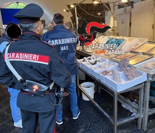 CONTROLLI ALLA 'PESCHERIA' DI CATANIA, VENDITORI ABUSIVI FUGGONO, SEQUESTRATI 120 KG DI PRODOTTI ITTICI